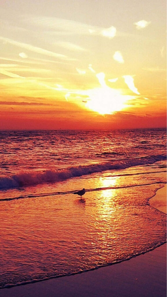 Serenity by the Shore: Capturing Vibrant Sunset Moments with an iPhone at the Beach Wallpaper