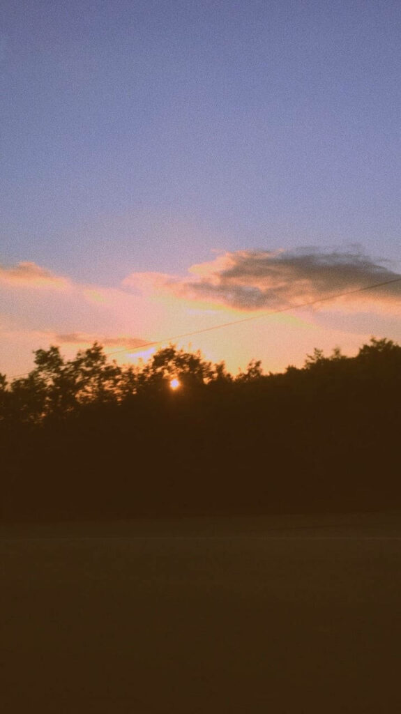 Serene Nature's Embrace: Vsco sunset-filtered mobile cover with stunning woodland backdrop Wallpaper