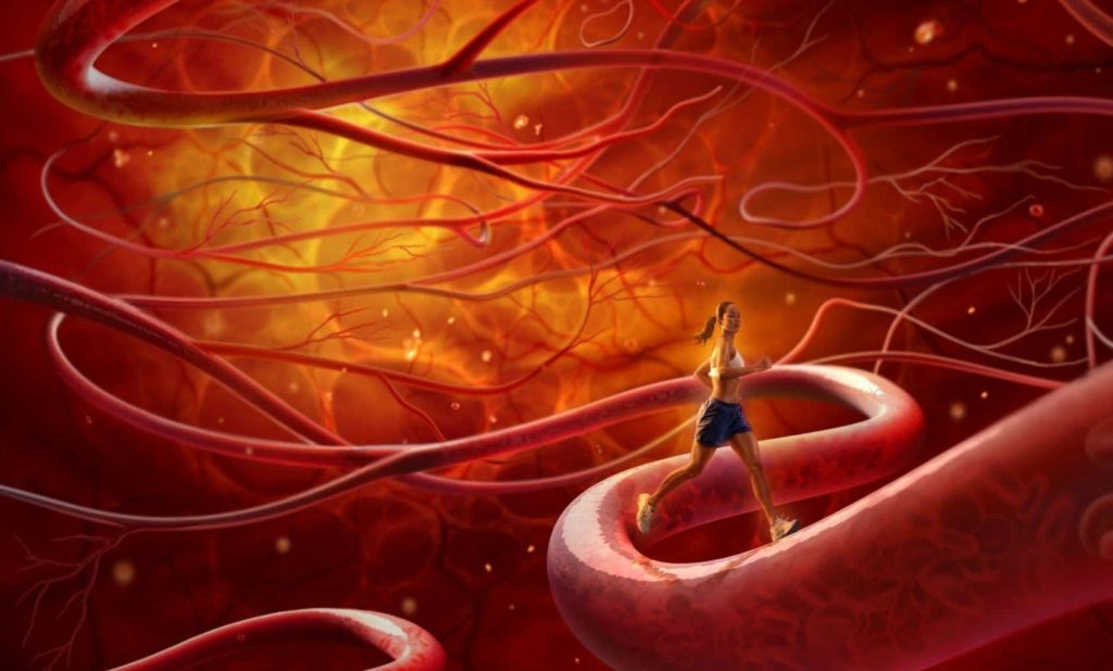 Woman running inside glowing blood vessel network symbolizing cardiovascular health exercise benefits Wallpaper
