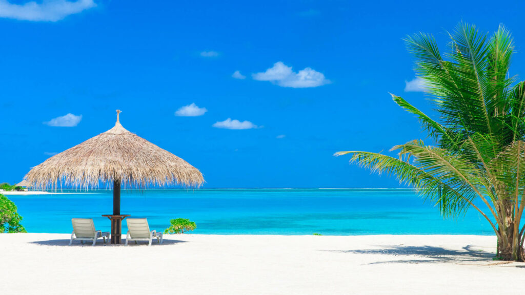 “Stunning Caribbean Beach Wallpaper: Turquoise Waters & Palm Trees”