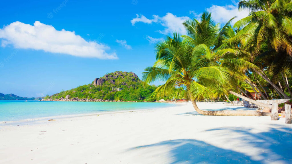Caribbean Paradise Wallpaper: Tropical Escape with White Sands & Waters