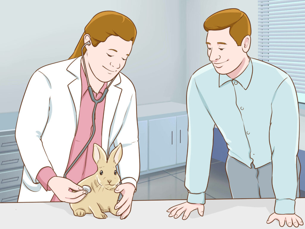Veterinarian in white coat examining rabbit with stethoscope in bright modern clinic setting Wallpaper