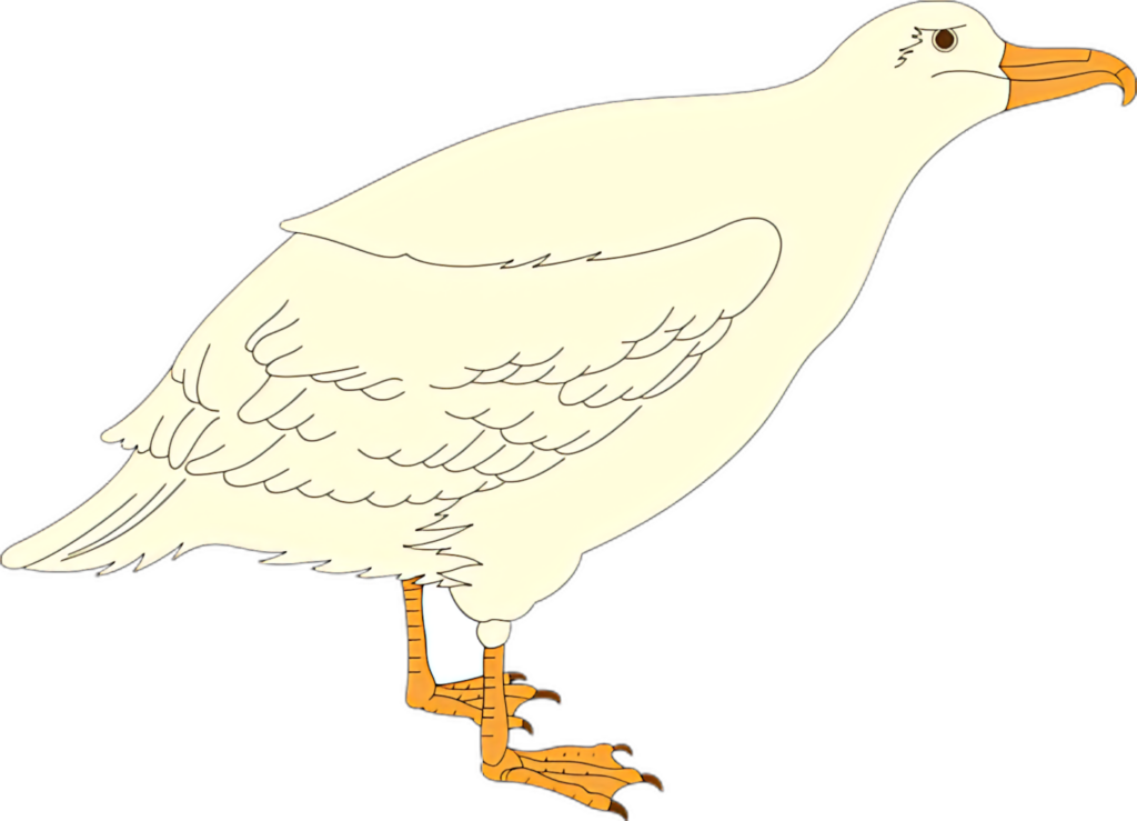 Cartoon Seagull Wallpaper: Simple Design & Light Colors