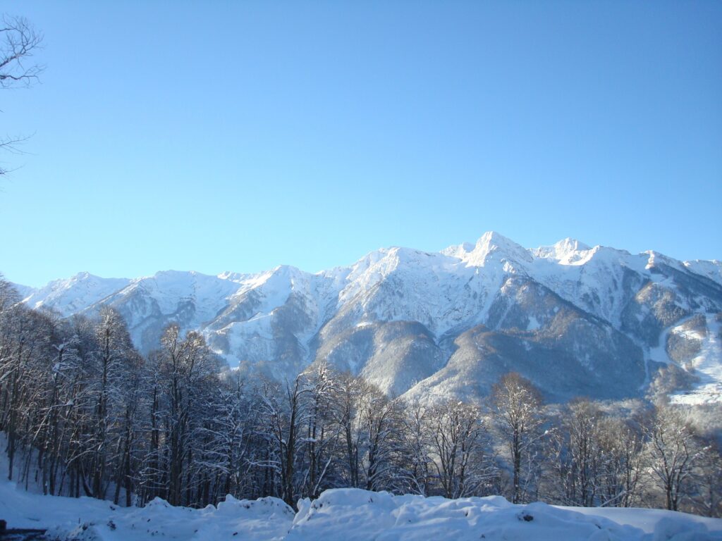 Snow-covered Caucasus mountain ridge under clear blue sky with leafless trees in winter landscape Wallpaper