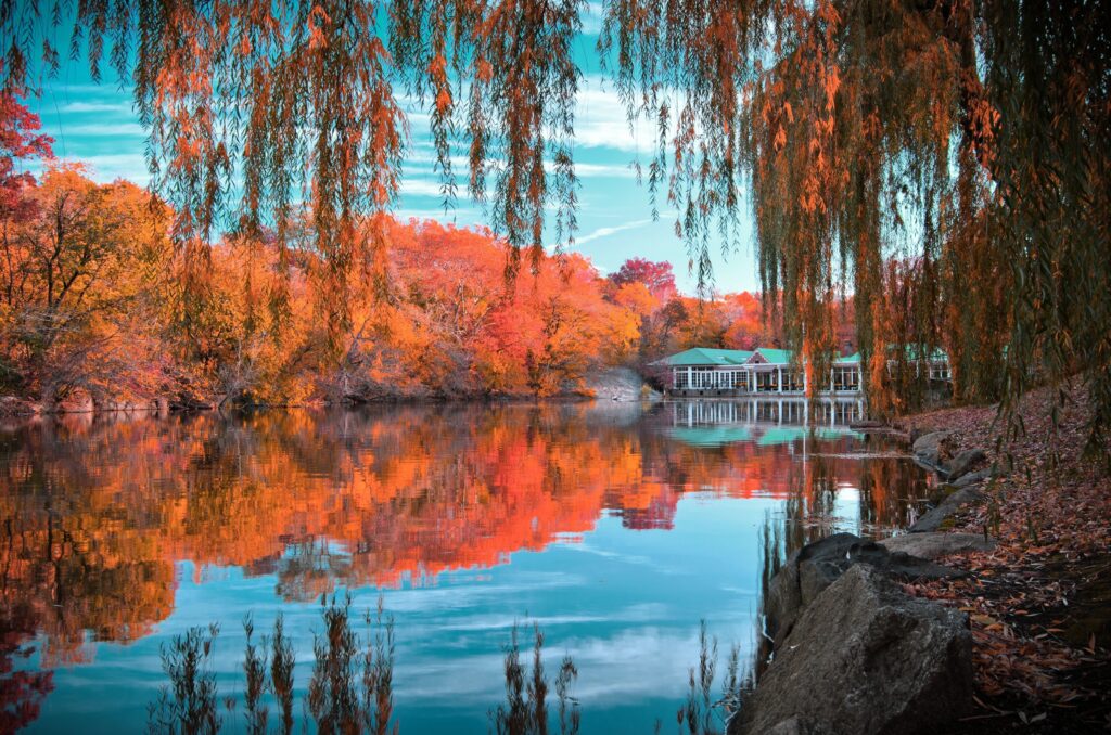 Central Park autumn foliage reflected on lake with willow branches and lakeside pavilion Wallpaper
