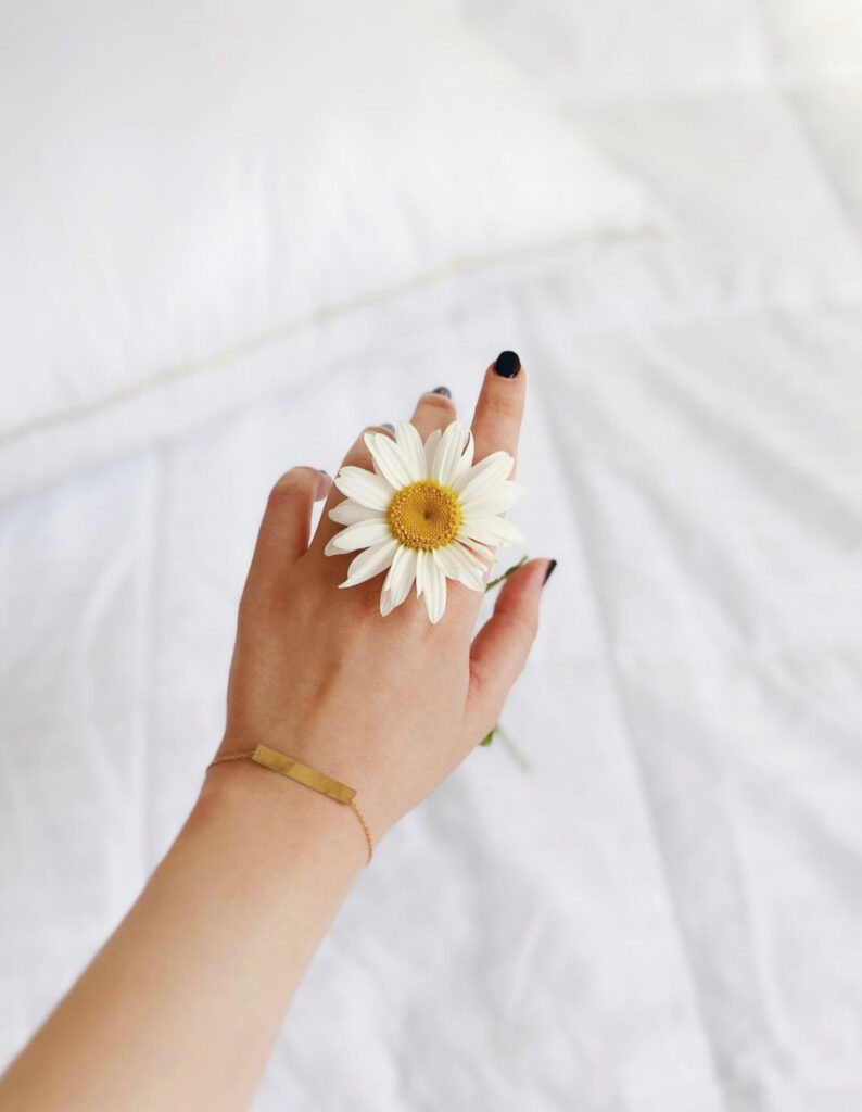 Chamomile Flower Close-Up on Soft Blurred Background Wallpaper