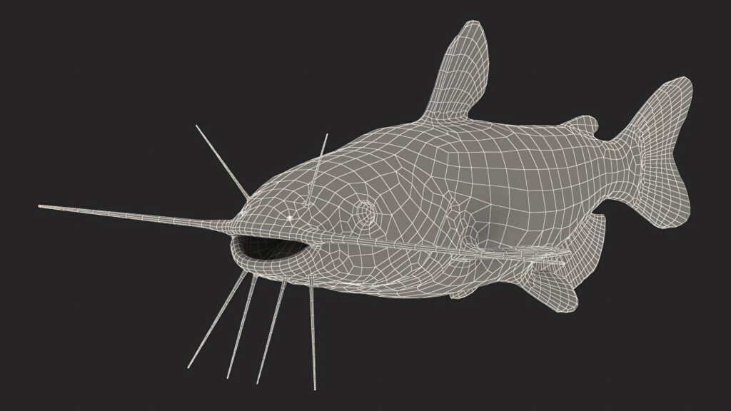 3D wireframe channel catfish digital art wallpaper showing detailed whiskers and sleek body design
