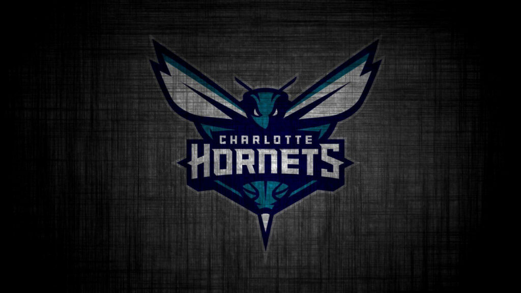 Charlotte Hornets grayscale logo with sharp wings on textured dark background wallpaper