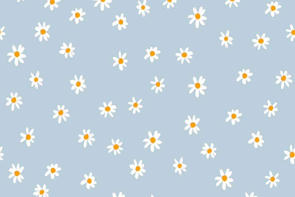 Charming Daisy Flower Wallpaper on Soft Blue Background