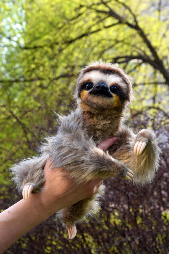 Cute Baby Sloth Basking in Sunlight: A Tranquil Nature Moment Wallpaper