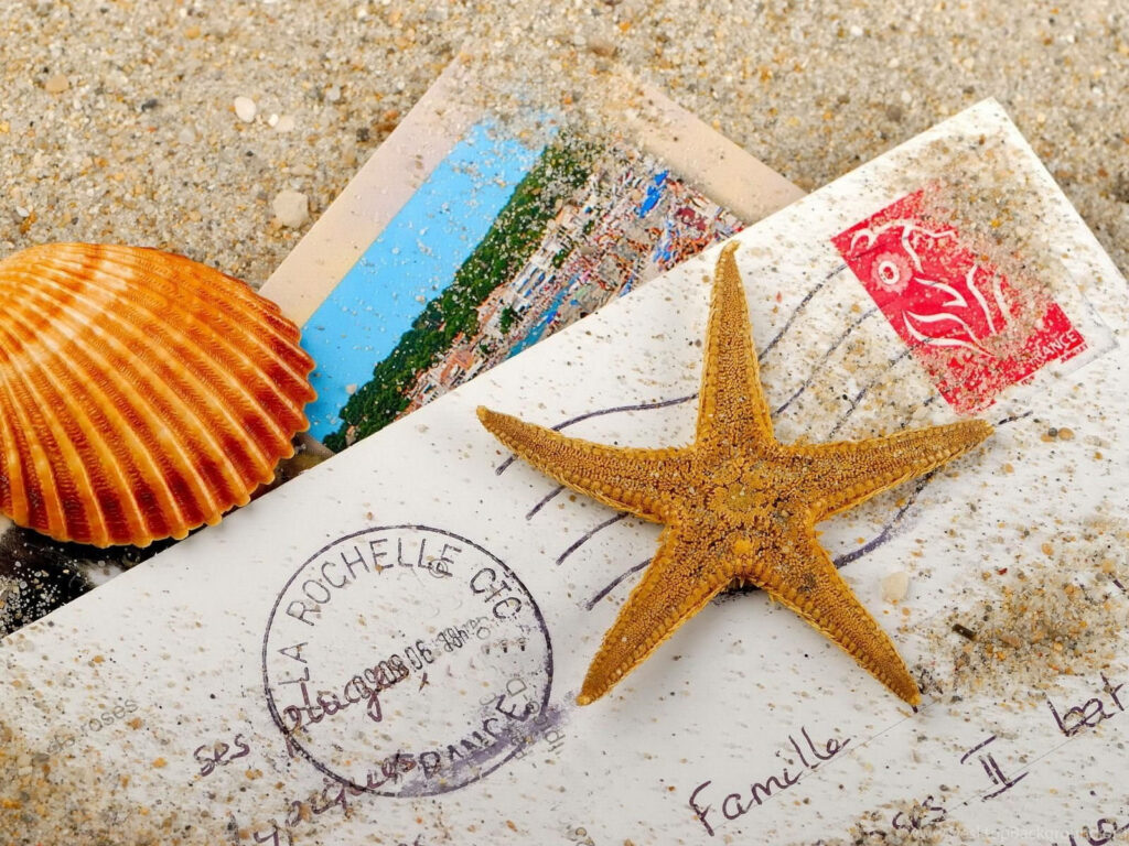 Charming Beach Wallpaper: Brown Starfish & Seashell on Vintage Letters