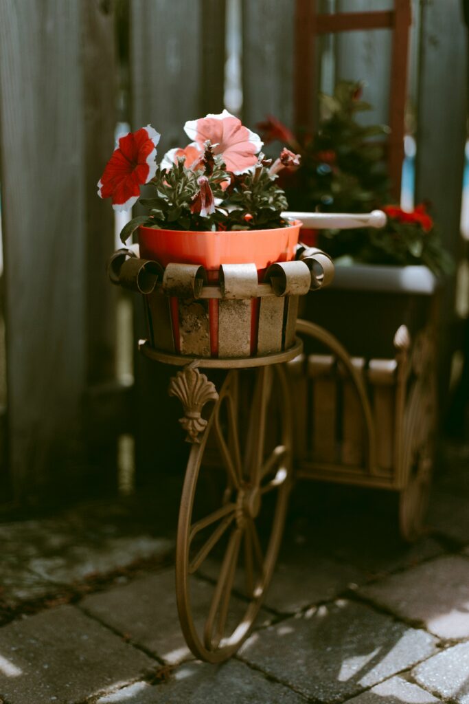Charming Bicycle Planter Wallpaper with Vibrant Flowers & Rustic Background