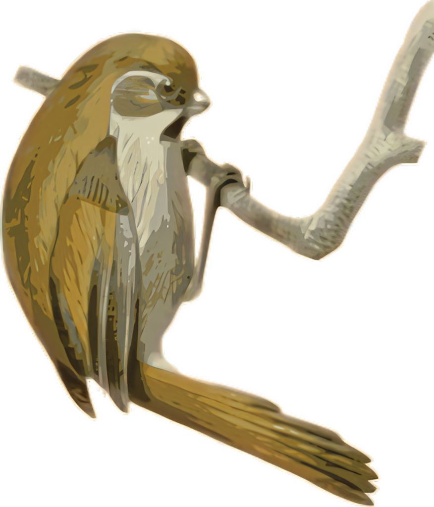 Charming Bird Singing Illustration - Nature-Inspired Wallpaper Background