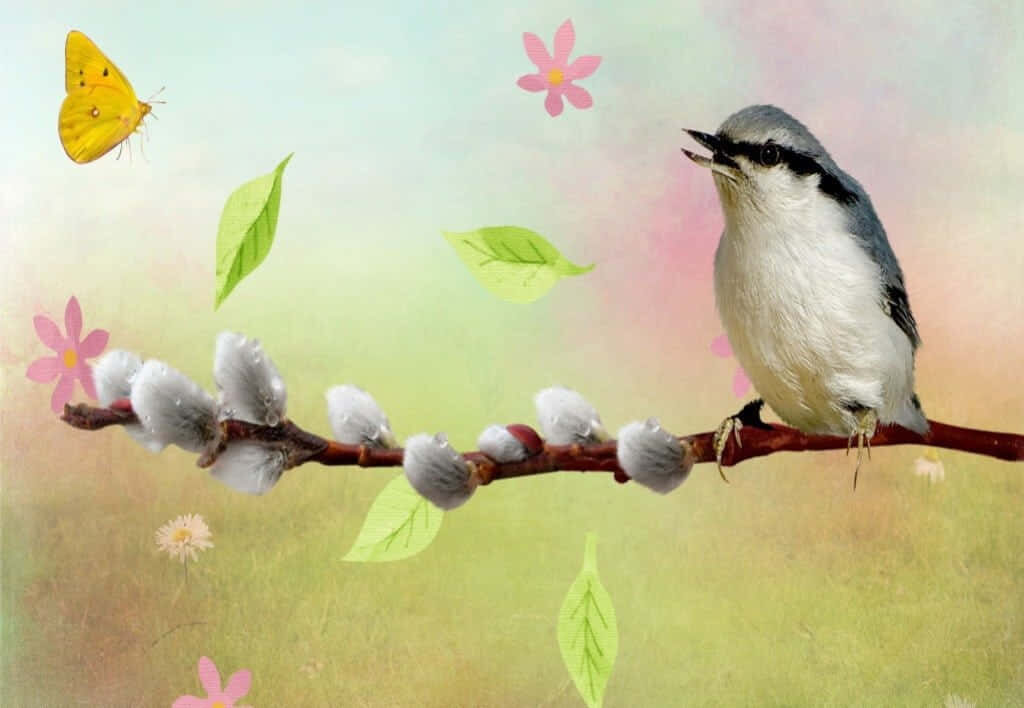 Charming Bird Wallpaper: Whimsical Nature Scene with Sunny Background