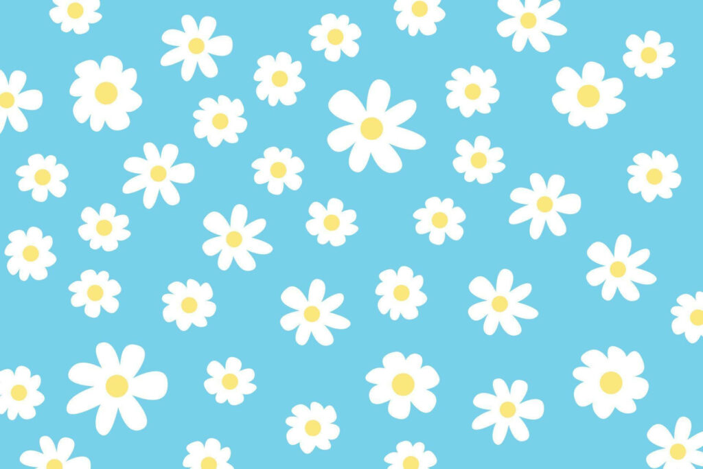 Charming Daisy Wallpaper: Cute White Blossoms on Vibrant Blue