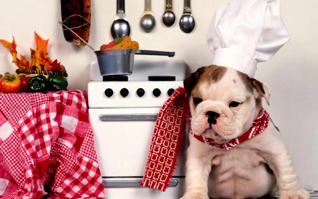 Adorable Bulldog Chef Wallpaper in Cozy Kitchen Setting