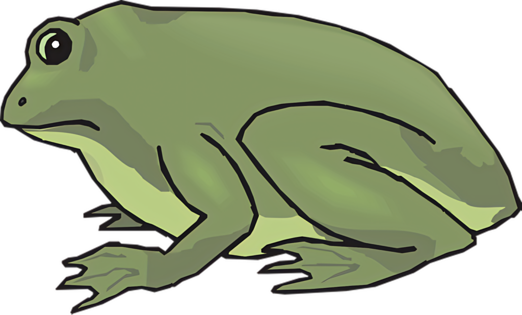 Charming Cartoon Frog Wallpaper for Playful Nature Decor