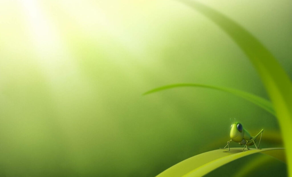 Charming Cartoon Grasshopper on Leaf – Whimsical Green Background Wallpaper