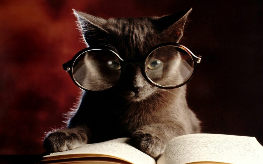 Charming Cat in Glasses: Whimsical 1920x1200 Study Scene Wallpaper