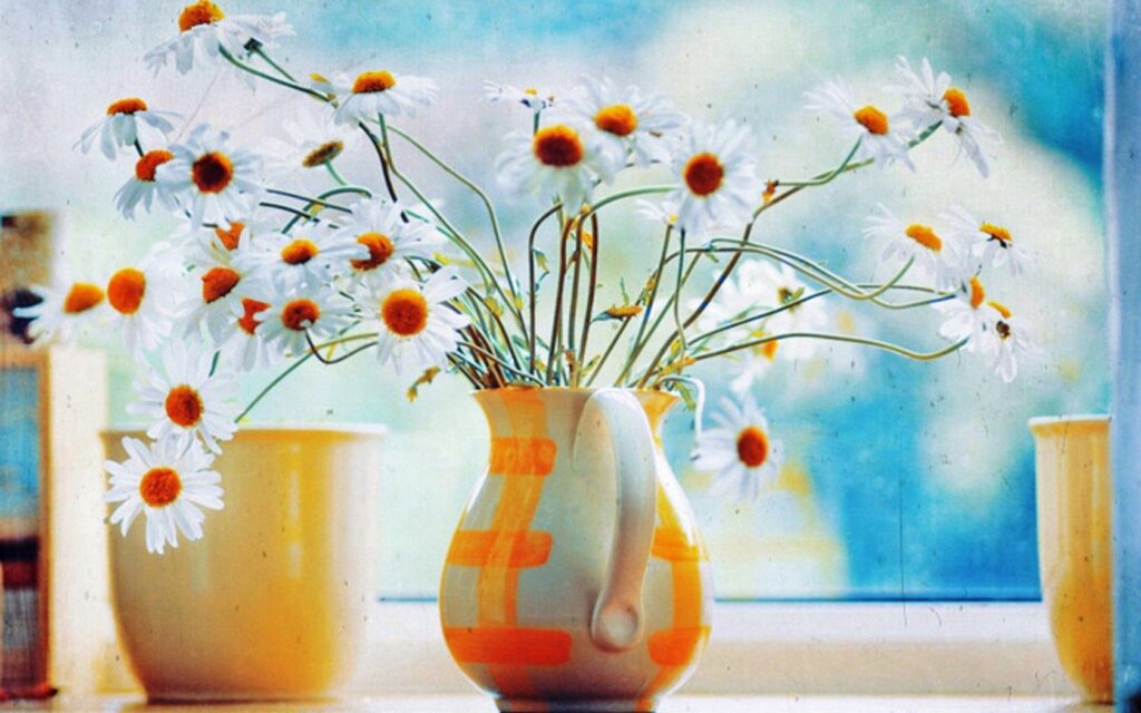 Charming Chamomile Bouquet in Decorative Pitcher - Serene Wallpaper