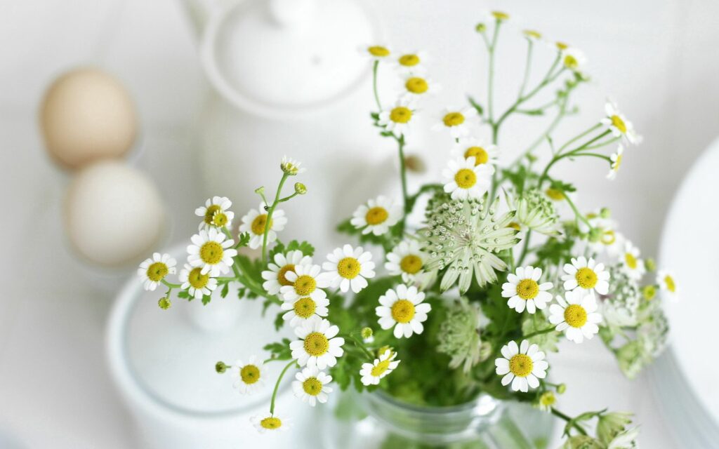 Charming Chamomile Flowers in Glass Jar - Serene Breakfast Background Wallpaper