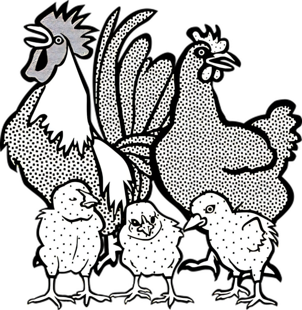 Whimsical Chicken Family Wallpaper: Rooster, Hen & Chicks Design