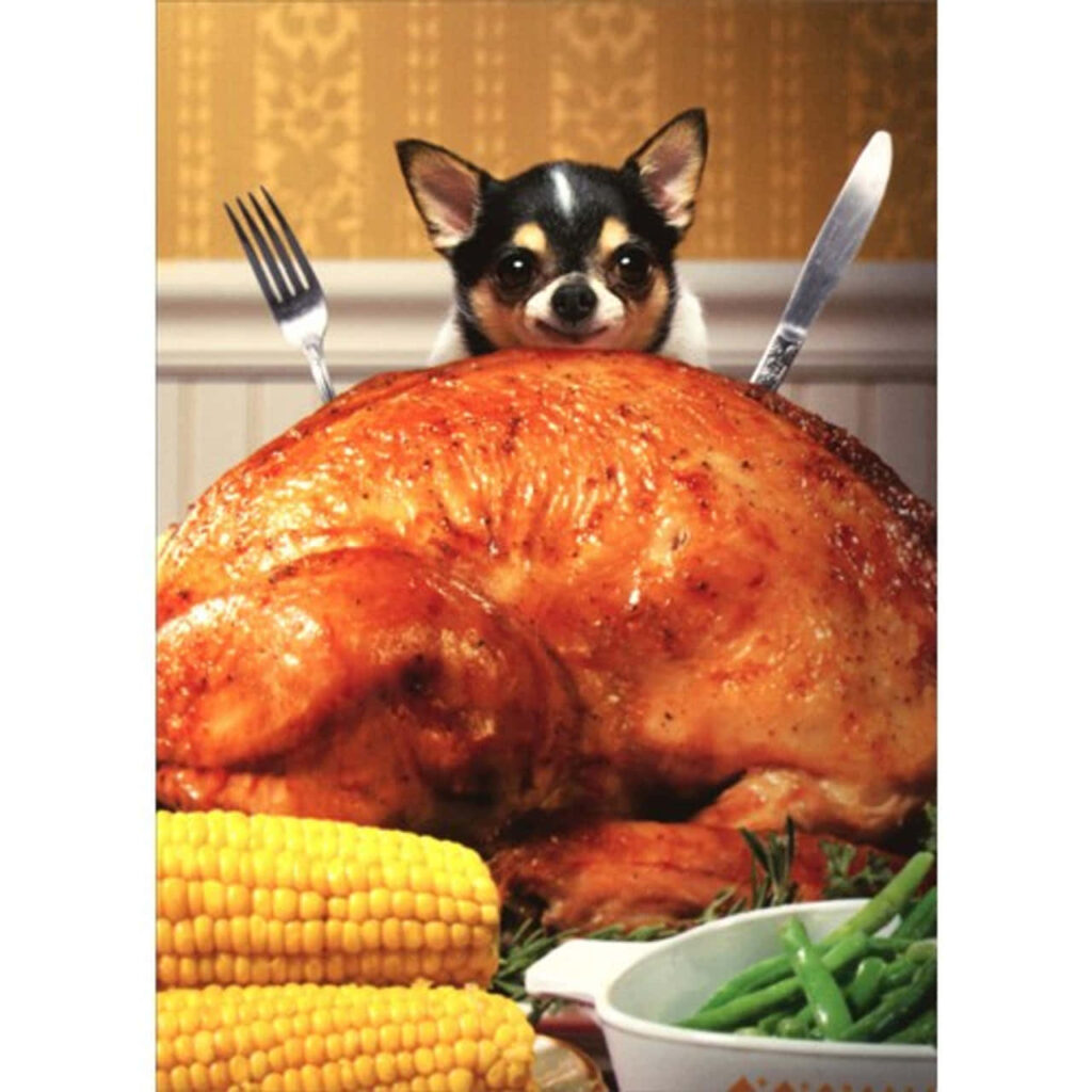 Charming Chihuahua Peeking Over Roast Turkey: A Humorous Feast Scene Wallpaper