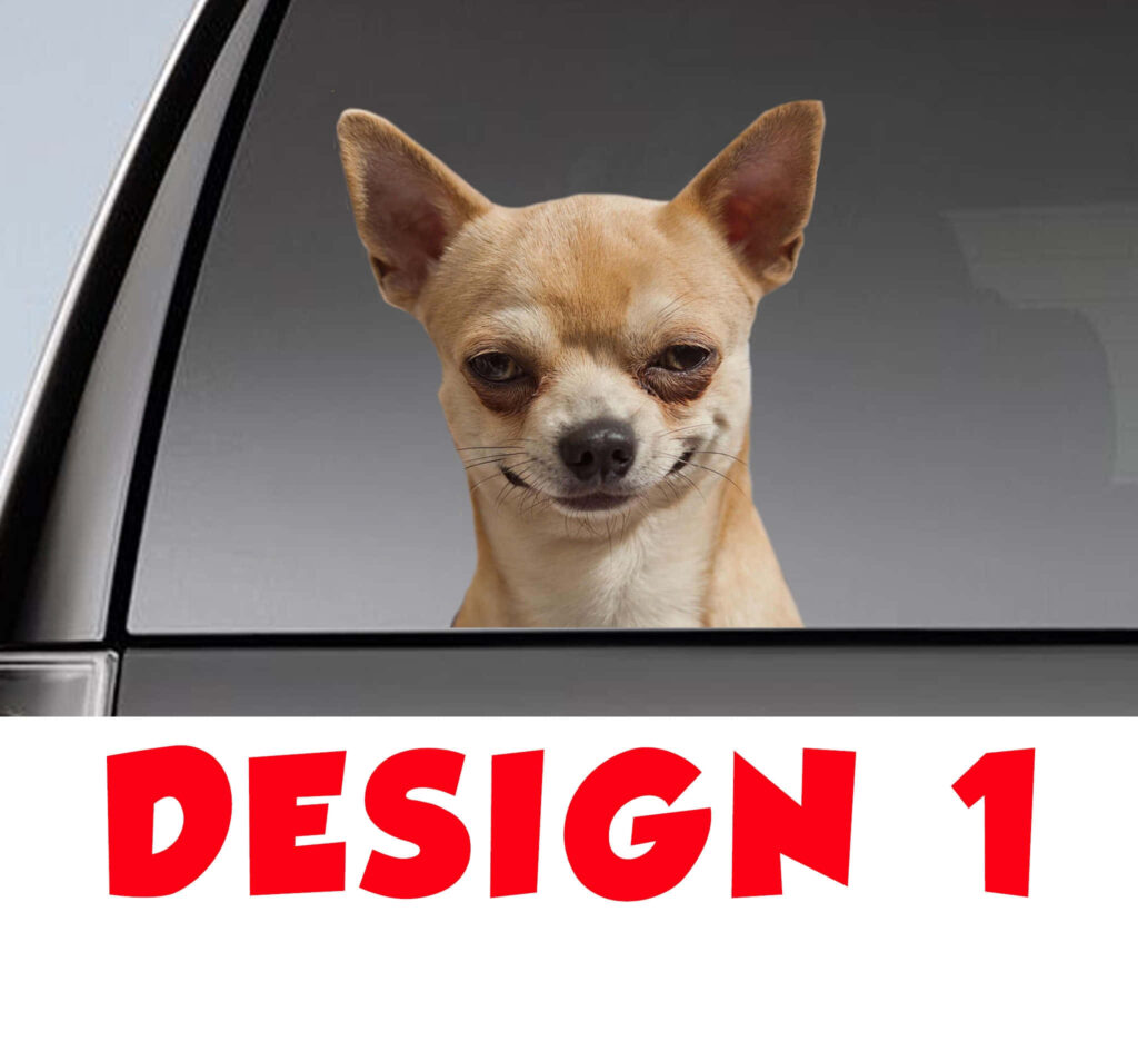 Charming Chihuahua Wallpaper: Adorable Car Window Scene