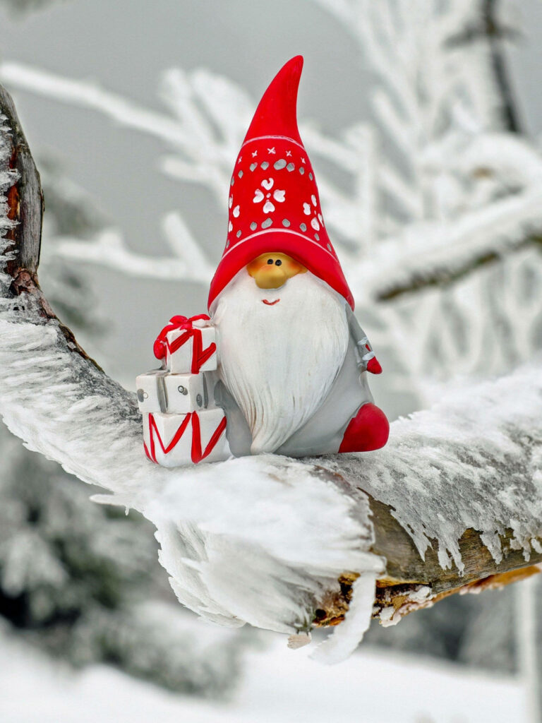 Cheerful Christmas Elf Figurine on Snowy Branch Wallpaper