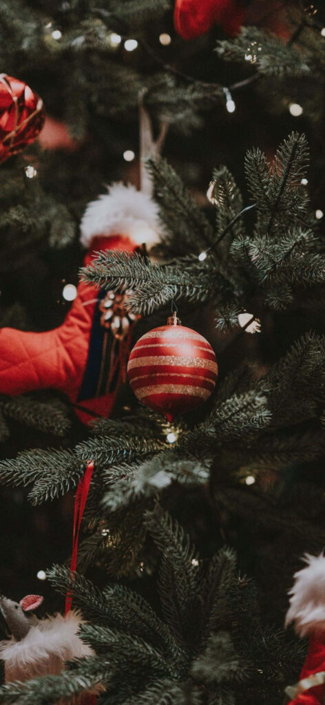 Beautiful Christmas iPhone Wallpaper: Festive Tree & Cozy Stocking