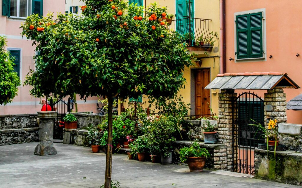 Charming Cinque Terre Wallpaper: Colorful Streets & Rustic Courtyard