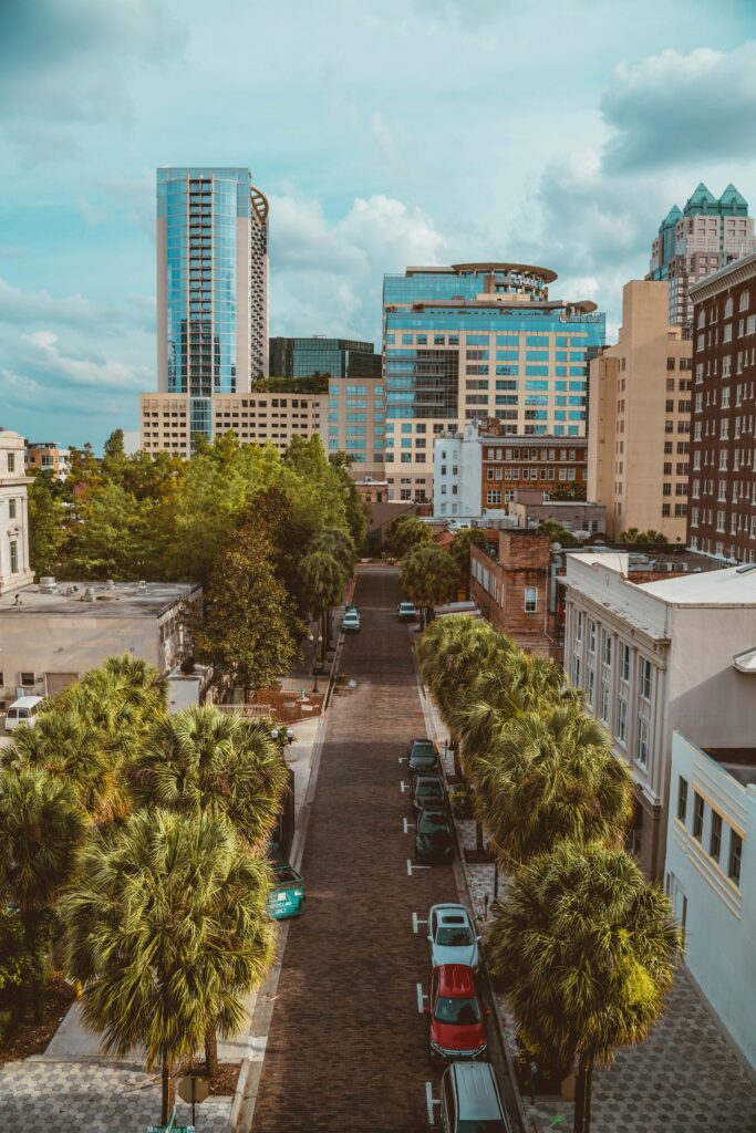 Charming Cityscape Wallpaper: Cobblestone Road & Lush Palm Trees