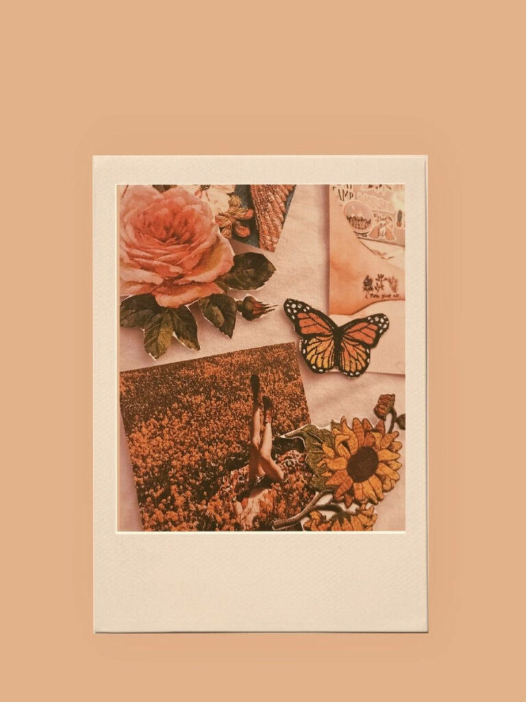 Charming Collage Wallpaper: Orange Butterfly, Rose & Sunflower Scene