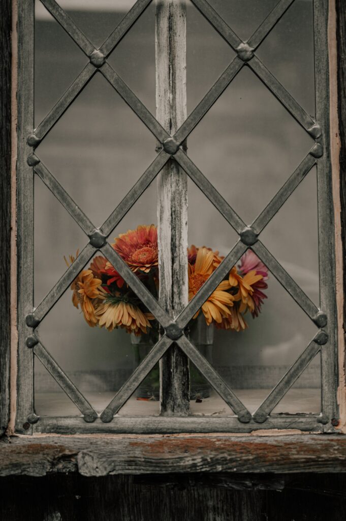 Charming Daisy Bouquet Wallpaper: Cozy Rustic Window Design