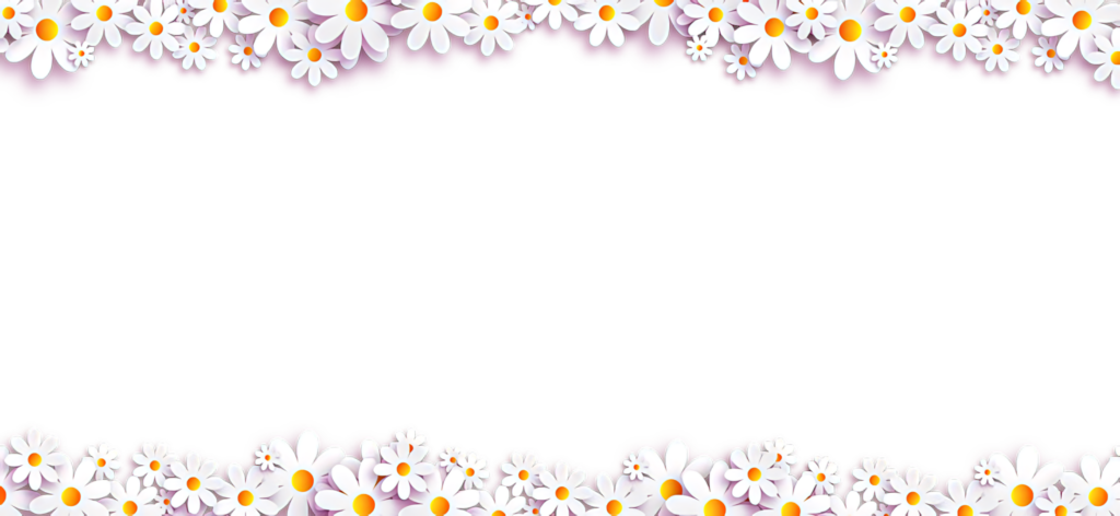 Charming Daisy Border Wallpaper on Vibrant Purple Background