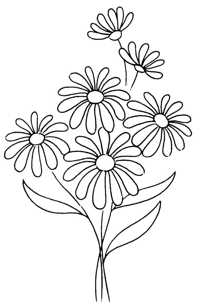 Charming Daisy Line Drawing Wallpaper for Relaxing Coloring Fun