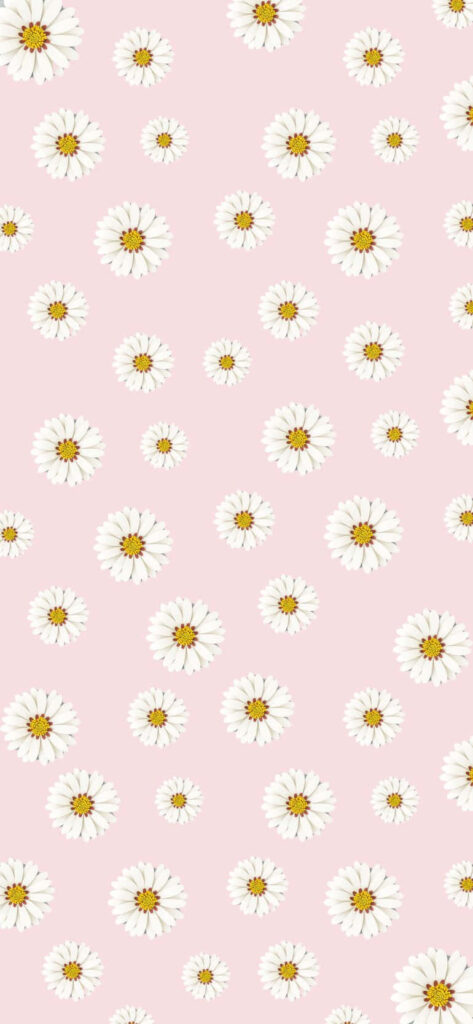 Charming Daisy Pattern Wallpaper on Soft Pink Background - Aesthetic Decor