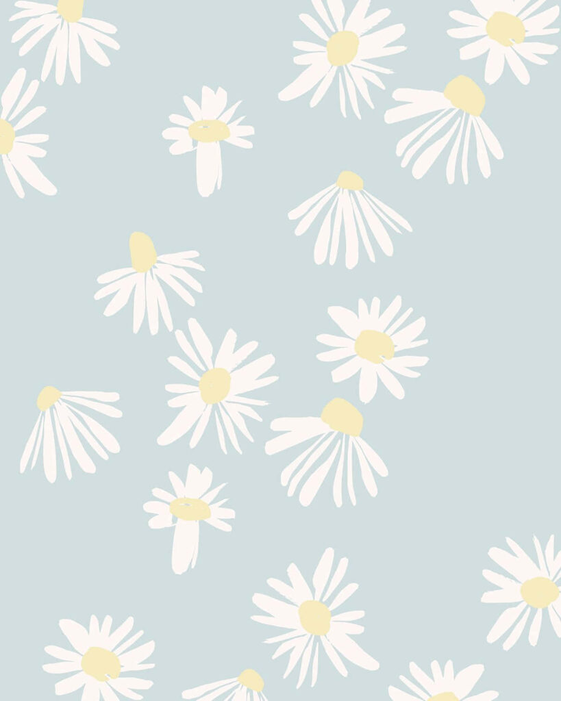 Charming Daisy Flowers on Soft Pastel Blue Wallpaper Background