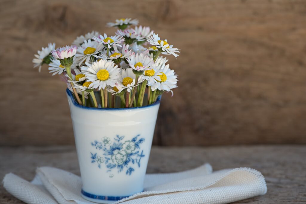Charming Daisy Wallpaper with Rustic Wood Background Decor