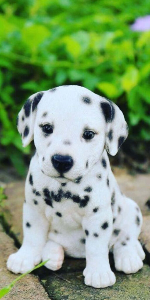 Charming Dalmatian Puppy Wallpaper in Lush Greenery Background