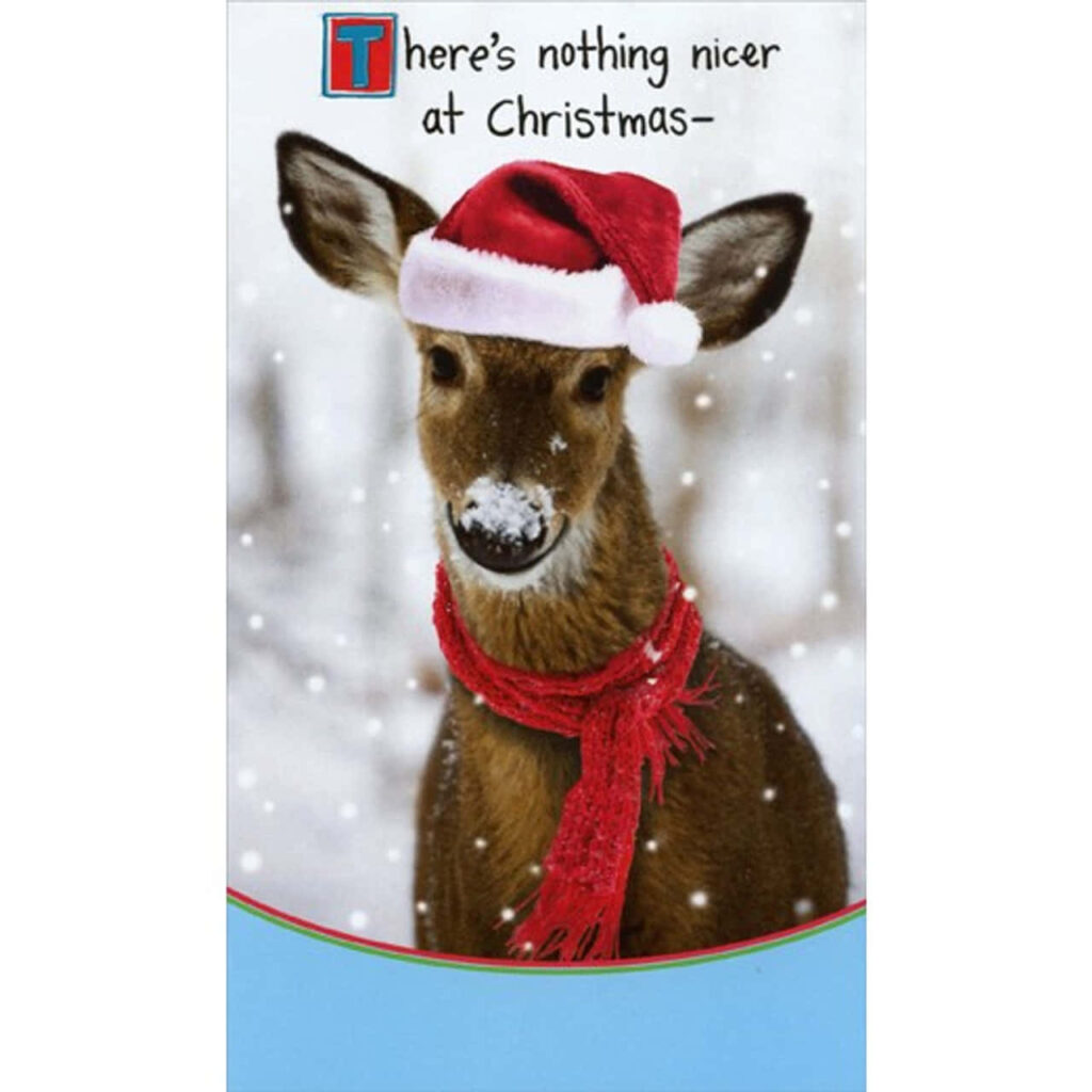Charming Deer Christmas Wallpaper with Santa Hat & Snowy Fun