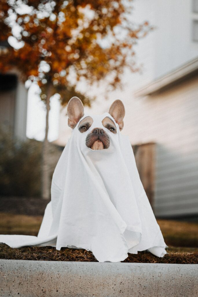 Charming Dog Ghost Wallpaper: Autumn Foliage & Suburban Scene