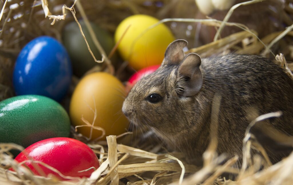 Charming Easter Bunny Wallpaper with Colorful Eggs & Straw Background