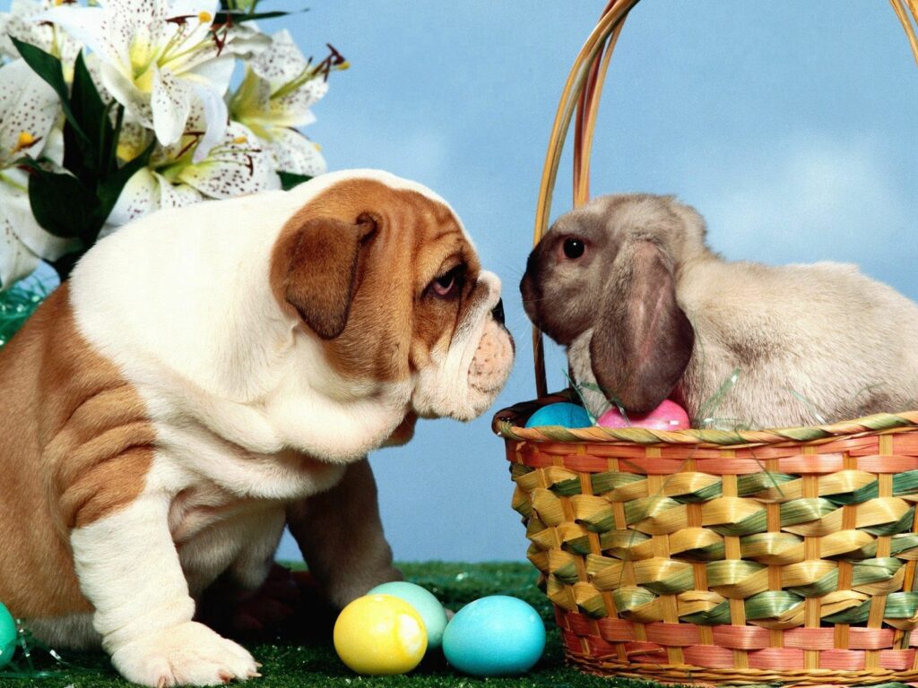 Charming Easter Wallpaper: Cute Dog & Fluffy Rabbit with Eggs