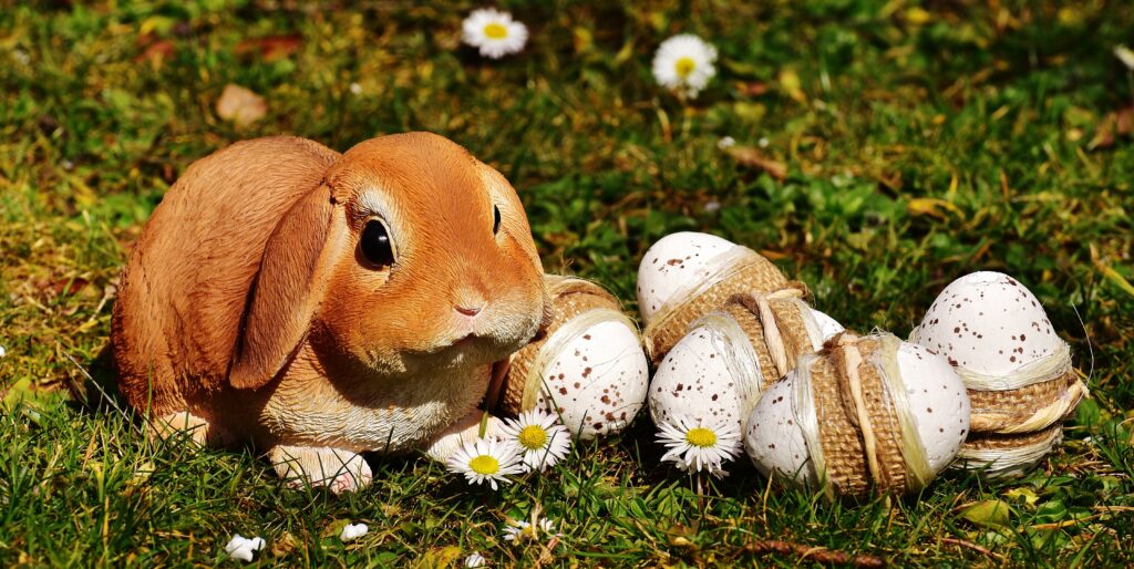 Charming Easter Wallpaper: Cute Rabbit & Speckled Eggs in Spring