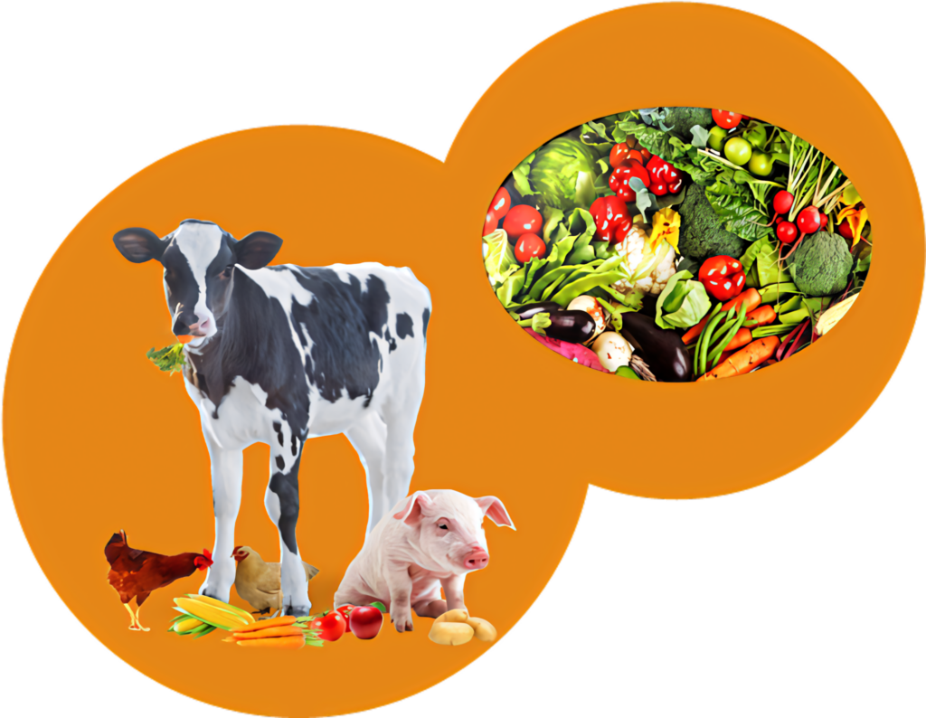 Charming Farm Animals Wallpaper: Cow, Pig & Veggies Design