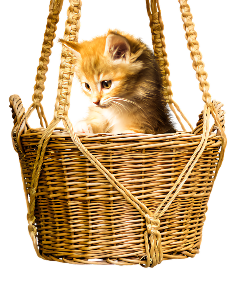 Curious Fluffy Kitten Peeks Over Wicker Basket – Charming Scene Wallpaper