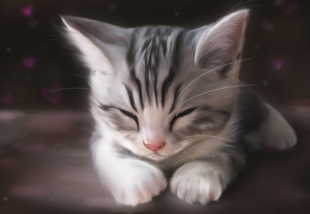 Adorable Fluffy Kitten Wallpaper - Peaceful Sleeping Scene