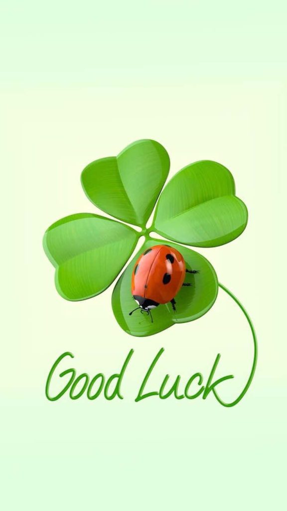 Minimalist four leaf clover and ladybug good luck wallpaper with green background and cursive text
