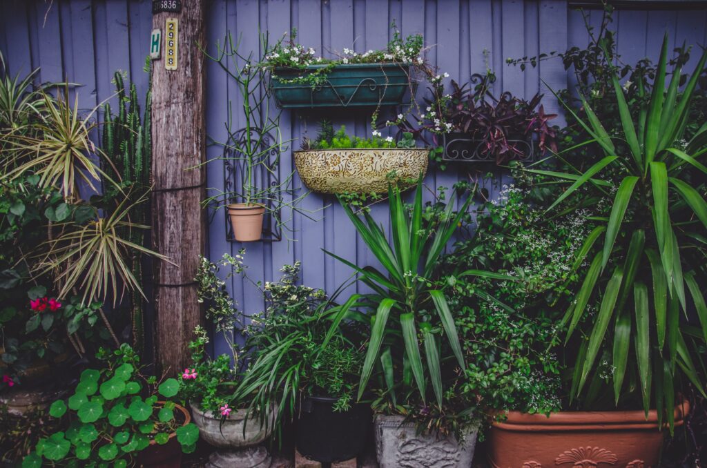 Charming Garden Wallpaper: Lush Potted Plants & Floral Serenity